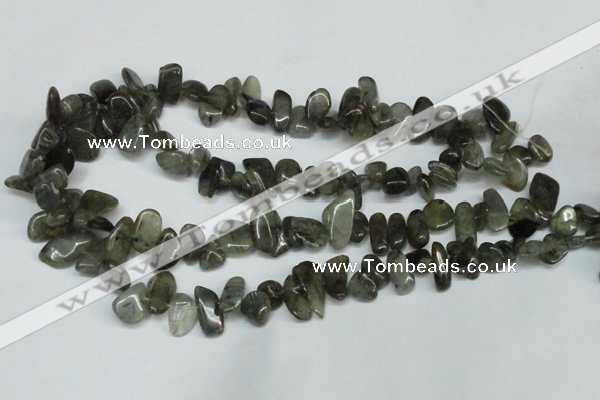 CCH320 15.5 inches 10*15mm labradorite chips gemstone beads wholesale