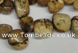 CCH331 15.5 inches 10*15mm picture jasper chips beads wholesale