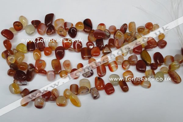 CCH333 15.5 inches 10*15mm red agate chips gemstone beads wholesale