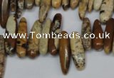 CCH345 15.5 inches 5*20mm picture jasper chips beads wholesale