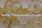 CCH612 15.5 inches 6*8mm - 10*14mm citrine chips gemstone beads