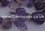 CCH614 15.5 inches 6*8mm - 10*14mm ametrine chips gemstone beads