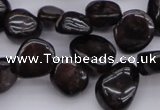 CCH617 15.5 inches 6*8mm - 10*14mm garnet chips gemstone beads