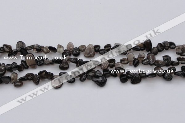 CCH623 15.5 inches 6*8mm - 10*14mm smoky quartz chips beads