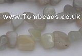 CCH625 15.5 inches 6*8mm - 10*14mm grey moonstone chips beads