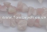 CCH626 15.5 inches 6*8mm - 10*14mm morganite gemstone chips beads