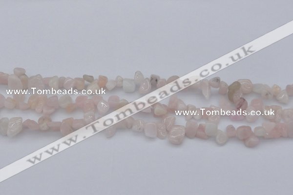 CCH626 15.5 inches 6*8mm - 10*14mm morganite gemstone chips beads