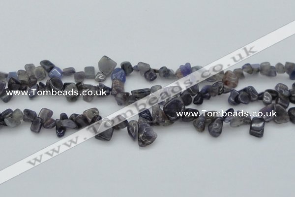 CCH627 15.5 inches 6*8mm - 10*14mm iolite gemstone chips beads