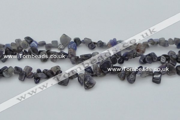 CCH627 15.5 inches 6*8mm - 10*14mm iolite gemstone chips beads