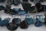 CCH628 15.5 inches 6*8mm - 10*14mm apatite gemstone chips beads