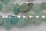 CCH630 15.5 inches 6*8mm - 10*14mm Chinese amazonite chips beads