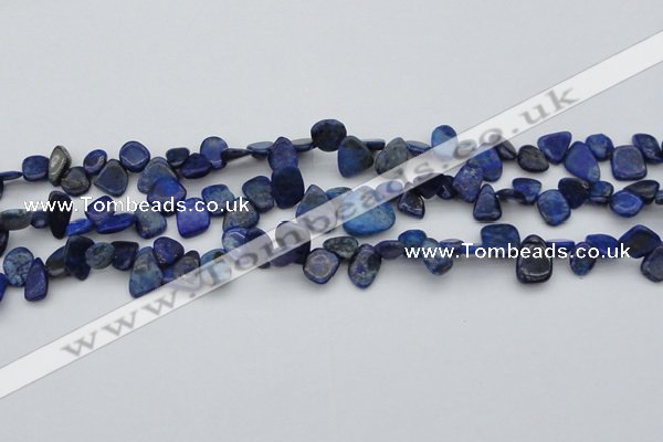 CCH634 15.5 inches 6*8mm - 10*14mm lapis lazuli chips beads