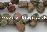 CCH636 15.5 inches 6*8mm - 10*14mm unakite gemstone chips beads