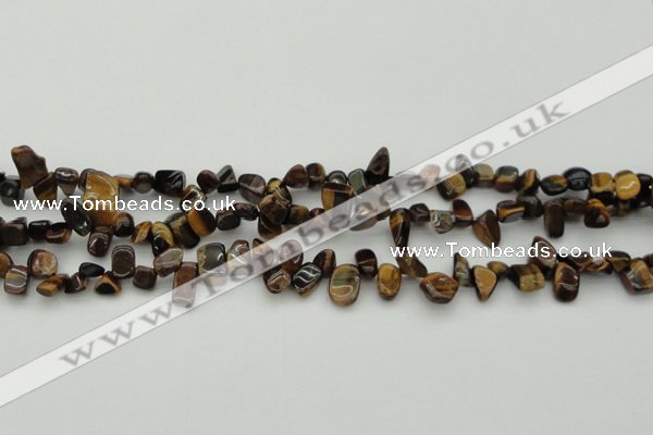 CCH638 15.5 inches 6*8mm - 10*14mm yellow tiger eye chips beads