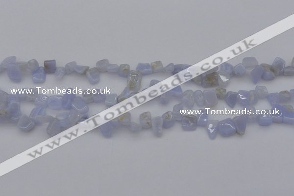 CCH639 15.5 inches 6*8mm - 10*14mm blue lace agate chips beads