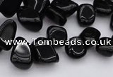 CCH640 15.5 inches 6*8mm - 10*14mm black agate chips beads