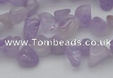 CCH641 15.5 inches 6*8mm - 10*14mm lavender amethyst chips beads