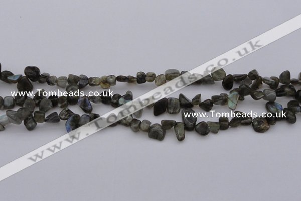 CCH642 15.5 inches 6*8mm - 10*14mm labradorite chips beads