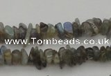 CCH645 15.5 inches 4*6mm - 5*8mm labradorite chips beads