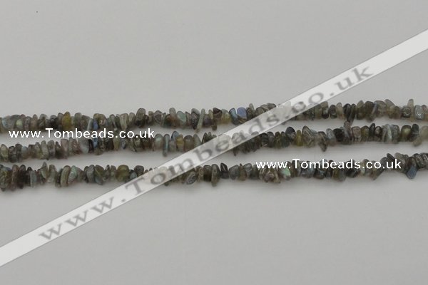 CCH645 15.5 inches 4*6mm - 5*8mm labradorite chips beads