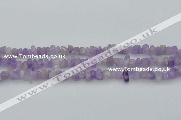CCH648 15.5 inches 8*12mm - 10*14mm lavender amethyst chips beads