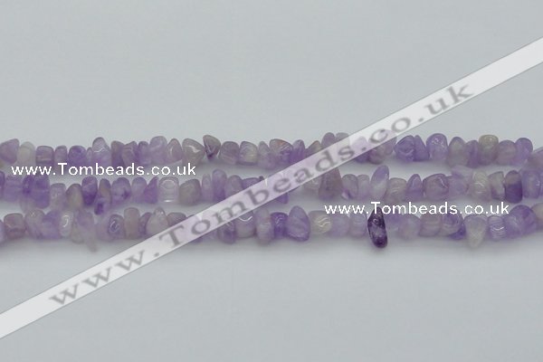 CCH648 15.5 inches 8*12mm - 10*14mm lavender amethyst chips beads