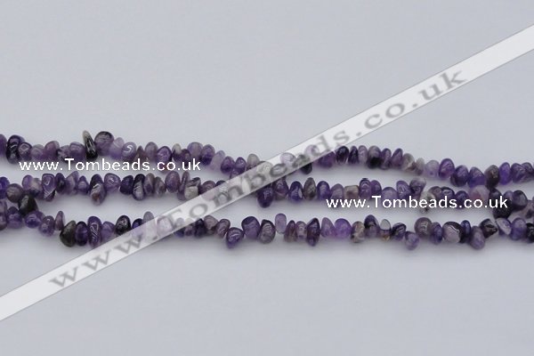 CCH649 15.5 inches 4*6mm - 5*8mm amethyst gemstone chips beads