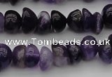 CCH650 15.5 inches 4*6mm - 5*8mm amethyst gemstone chips beads