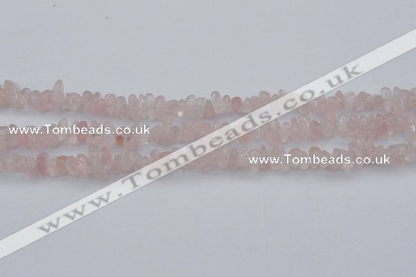 CCH653 15.5 inches 5*8mm - 6*10mm rose quartz chips beads