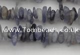 CCH658 15.5 inches 4*6mm - 5*8mm iolite gemstone chips beads