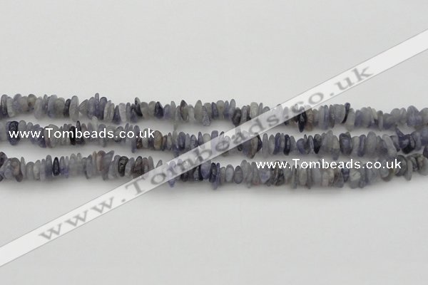 CCH658 15.5 inches 4*6mm - 5*8mm iolite gemstone chips beads