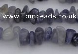 CCH659 15.5 inches 5*8mm - 6*10mm iolite gemstone chips beads