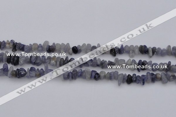 CCH659 15.5 inches 5*8mm - 6*10mm iolite gemstone chips beads