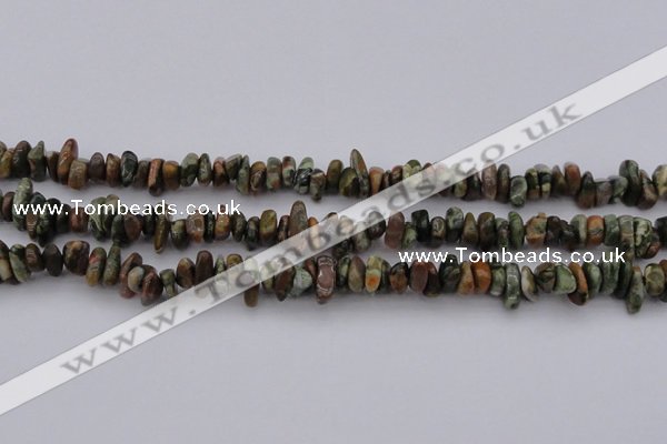 CCH662 15.5 inches 5*8mm - 6*10mm rhyolite gemstone chips beads