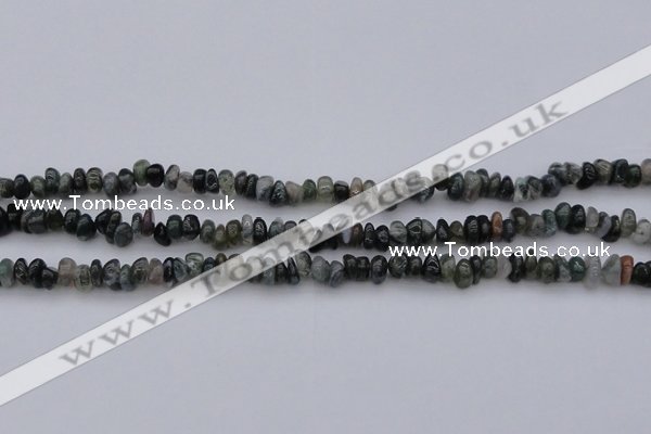 CCH663 15.5 inches 4*6mm - 5*8mm moss agate chips beads