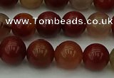 CCJ453 15.5 inches 10mm round colorful jasper beads wholesale