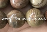 CCJ475 15.5 inches 14mm round rainbow jasper beads wholesale