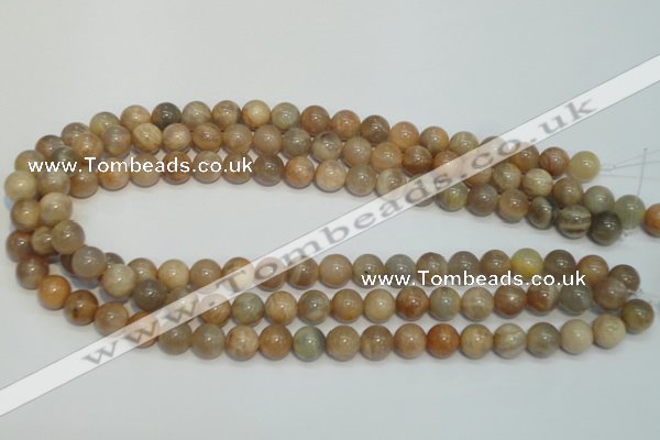 CCS304 15.5 inches 10mm round natural sunstone beads wholesale