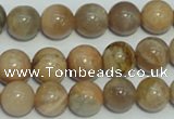 CCS305 15.5 inches 12mm round natural sunstone beads wholesale