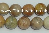 CCS307 15.5 inches 16mm round natural sunstone beads wholesale