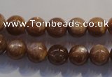 CCS353 15.5 inches 10mm round AB grade natural golden sunstone beads