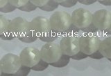 CCT351 15 inches 6mm faceted round cats eye beads wholesale