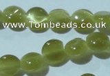 CCT459 15 inches 6mm flat round cats eye beads wholesale