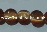 CCT488 15 inches 8mm flat round cats eye beads wholesale