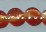 CCT514 15 inches 10mm flat round cats eye beads wholesale