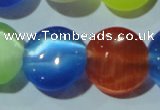 CCT526 15 inches 10mm flat round cats eye beads wholesale