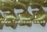 CCT866 15 inches 10mm star cats eye beads wholesale