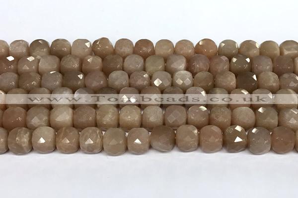 CCU1060 15 inches 8mm faceted cube moonstone beads