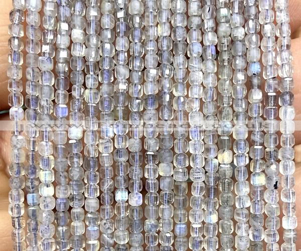 CCU1638 15 inches 2.5mm faceted cube labradorite gemstone beads