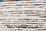 CCU1718 15 inches 2.5mm faceted cube pink queen conch shell beads